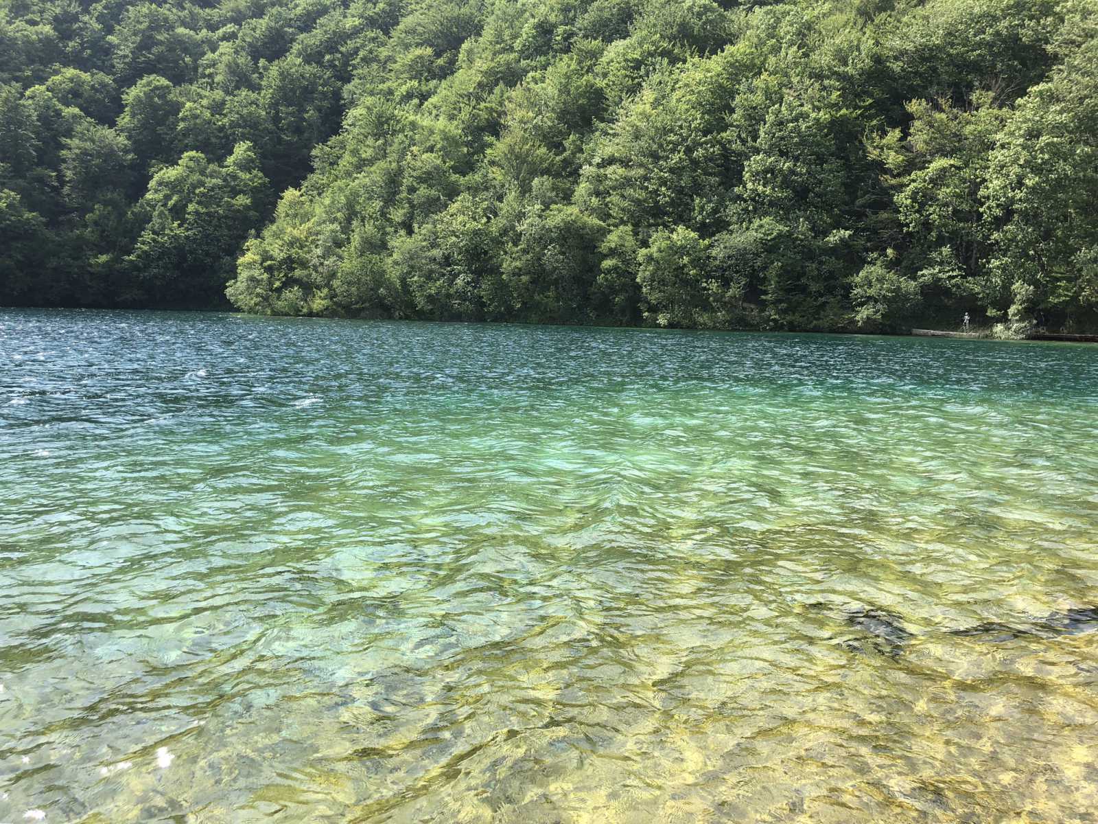 克羅埃西亞 Croatia 普利特維斯十六湖國家公園 Plitvička jezera
