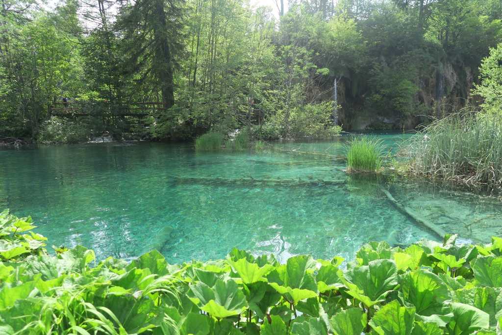 克羅埃西亞 Croatia 普利特維斯十六湖國家公園 Plitvička jezera